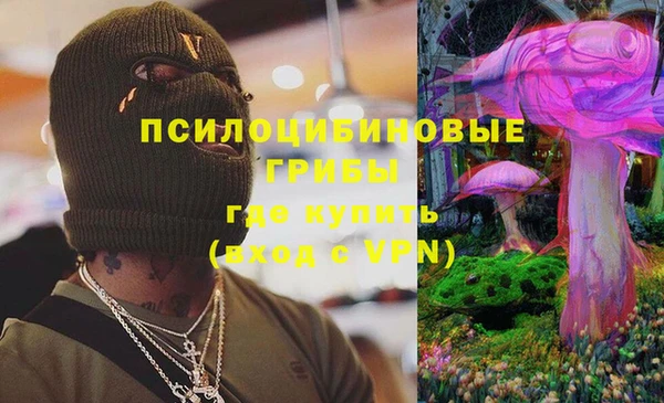 не бодяженный Богородицк